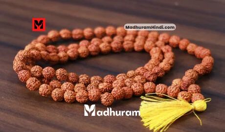 Rudraksha