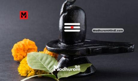 Shivji like these leaves other than Belpatra