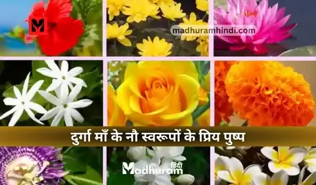 Navratri Flowers for 9 days