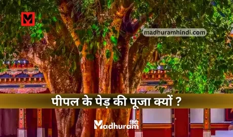 Peepal Tree