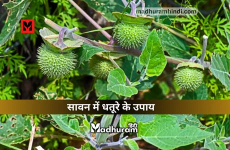 Sawan mein Datura ke Upay