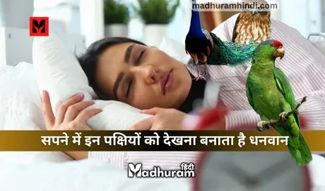 Sapne Mein Birds Dekhna