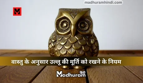 Vastu tips for statue of owl
