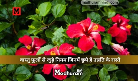 Vastu Flowers