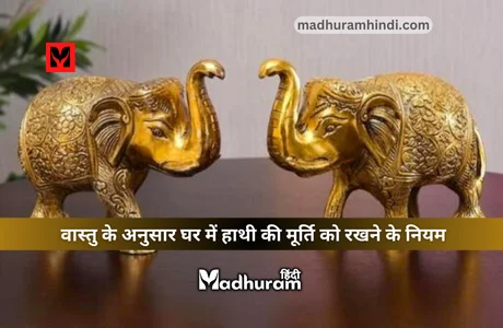 Vastu Tips for Elephant statue in home