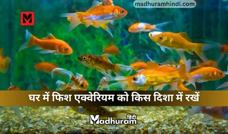 Vastu Tips for Fish Aquarium