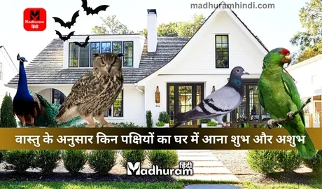 vastu shastra for birds