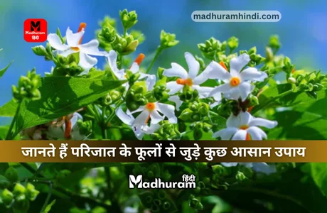 Parijat flower upay : जीवन में सुख - समृद्धि, धन में वृद्धि और कारोबार में उन्नति के लिए अपनाएं परिजात के फूलों के इन उपायों को. 1 Parijat flower upay