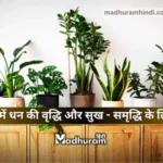 vastu tips