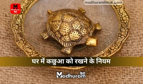 vastu tips for keeping a tortoise at home