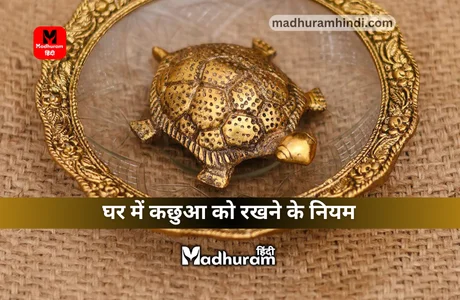 vastu tips for keeping a tortoise at home