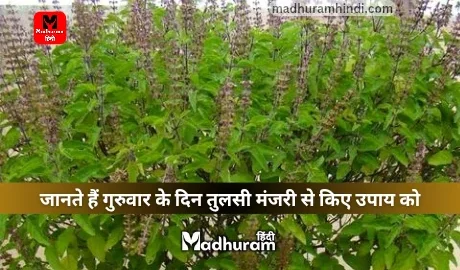 Tulsi Manjari Ke Upay