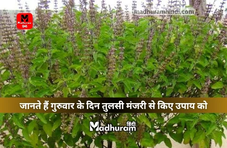 Tulsi Manjari Ke Upay
