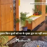 Vastu : वास्तु के अनुसार भूलकर भी घर के मुख्य द्वार पर इस फूलों को नहीं लगाएं, बन सकती है तरक्की और खुशहाली में बाधा.
