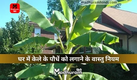 Vastu Rules for Banana Tree