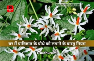 Vastu rules for planting a Parijat plant at home