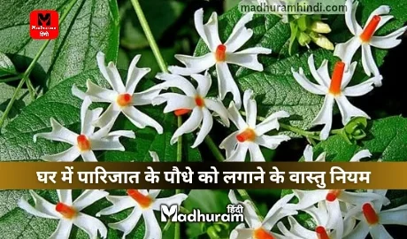 Vastu rules for planting a Parijat plant at home