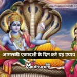 Amalaki Ekadashi Upay