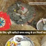 vastu for new home land