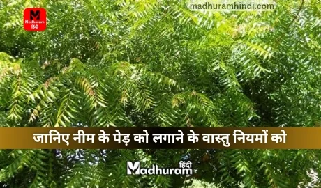 Vastu rules for planting Neem tree