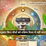 vastu