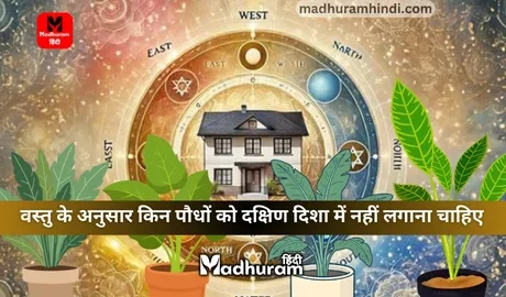 vastu