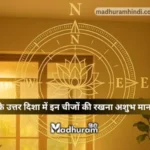 vastu dosh and north direction