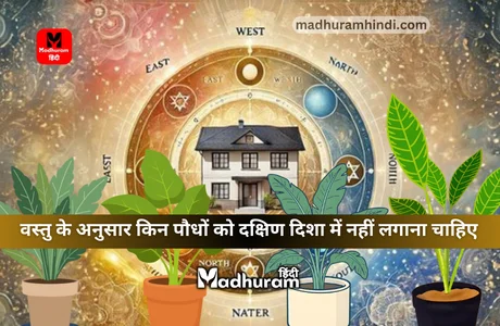 vastu