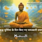 Buddha Purnima Upay
