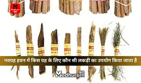 Samidha Bandal