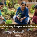 Vastu rules of planting Aparajita plant
