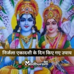 Nirjala Ekadashi Upay