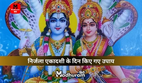 Nirjala Ekadashi Upay