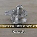 Parad Shivling