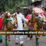 Pola Festival 2026