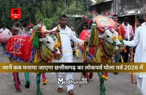 Pola Festival 2026