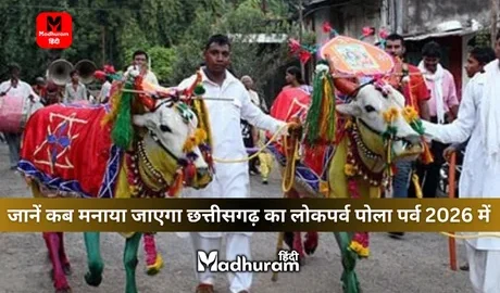 Pola Festival 2026