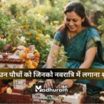 vastu