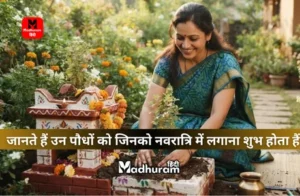 vastu