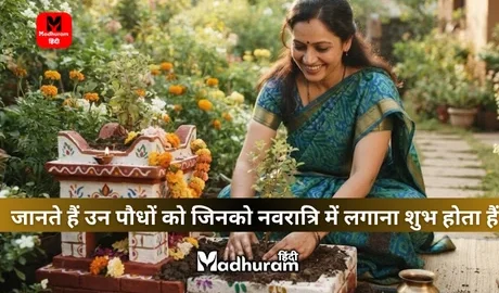 vastu